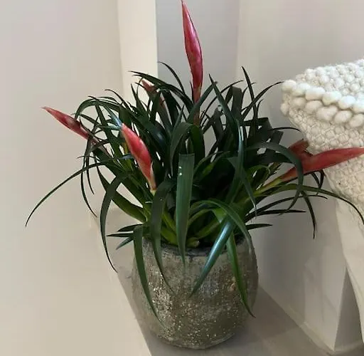 Apartamento Premium Plac Zbawiciela, Air Conditioning